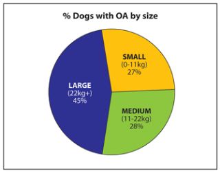 Clayfield Vet - Joint Health - Dog Size oa