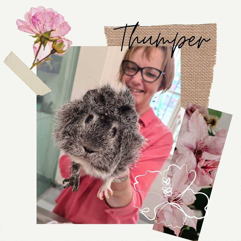 Meet Our Pets at Clayfield Vet - Thumper