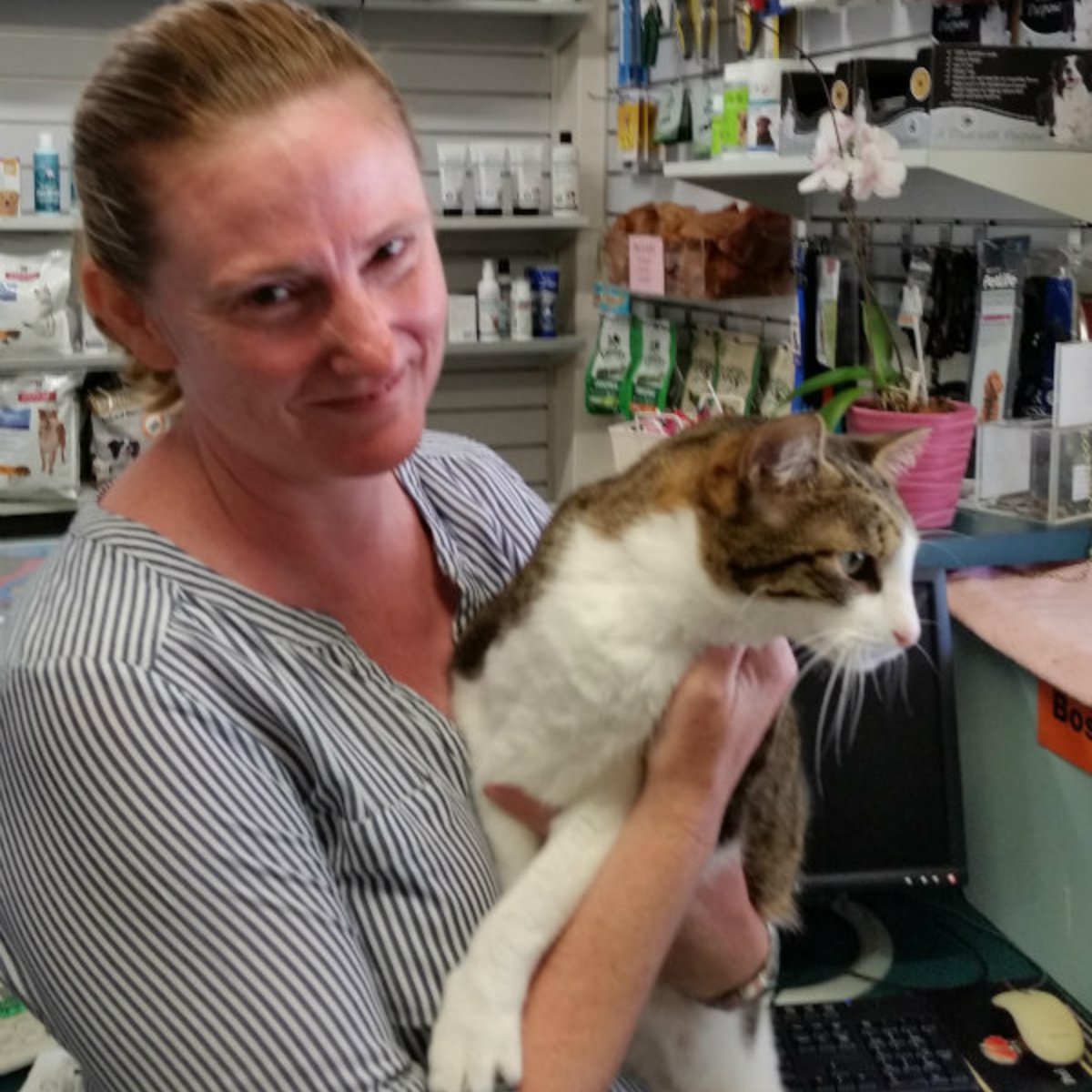 Clayfield Vet - Our Staff - Kate Harmer