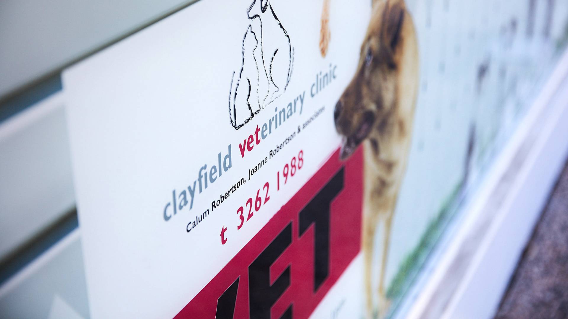 Pet Advice from Clayfield Vet